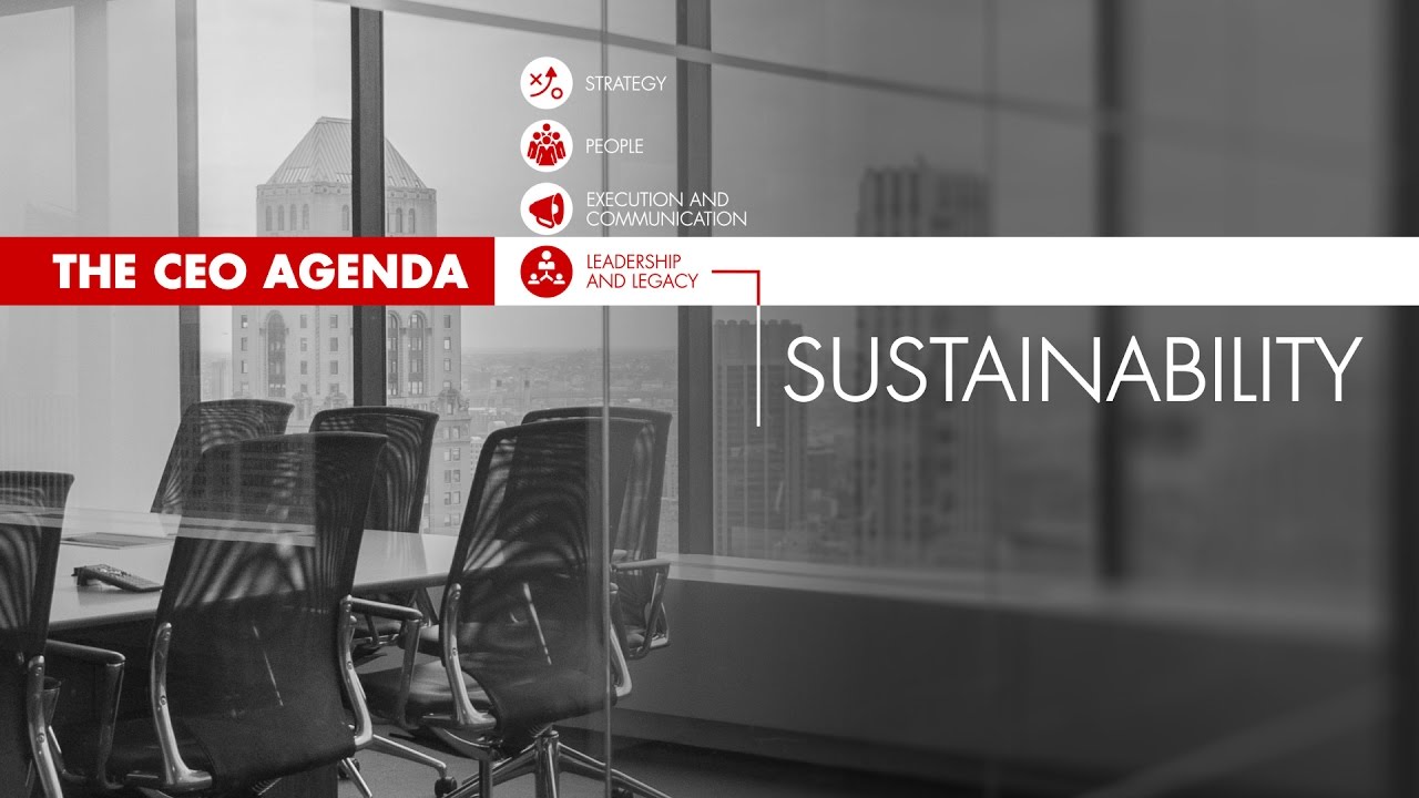 The CEO Agenda: Sustainability