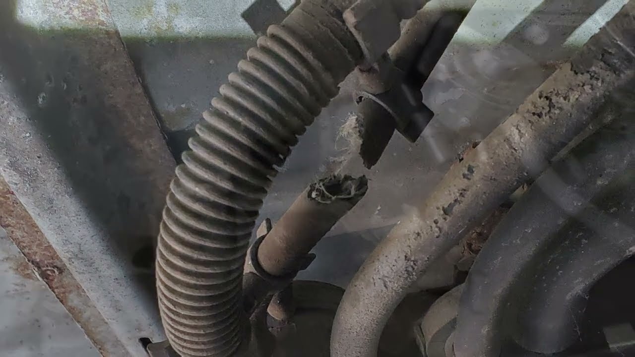 2003 Toyota Tacoma Evap Canister Repair
