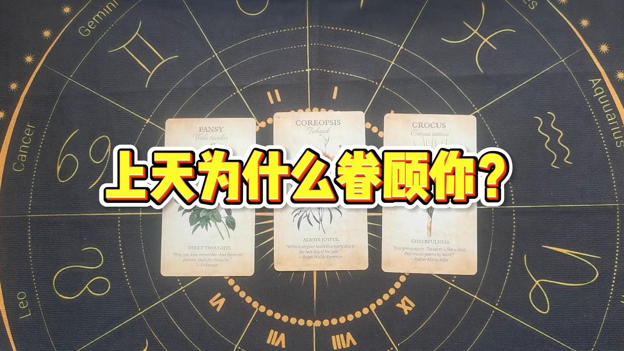 【塔羅牌占卜】上天为什么眷顾你？