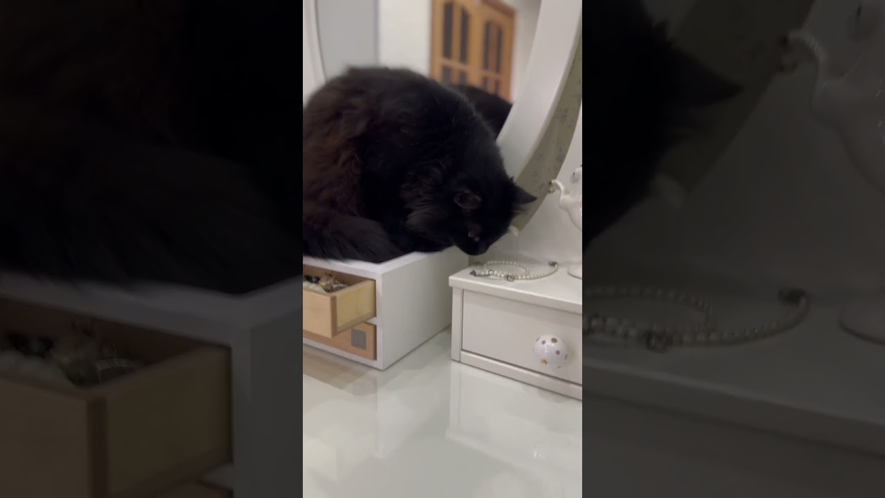 #cat