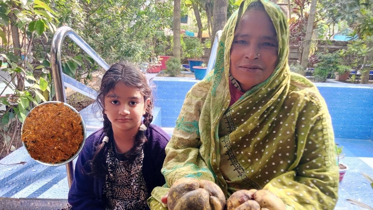 ছেচার ঝামেলা ছাড়া পারফেক্ট টক মিষ্টি চালতার আচার। চালতার আঁচার রেসিপি।ফুড কালার ছাড়া Chaltar achar।