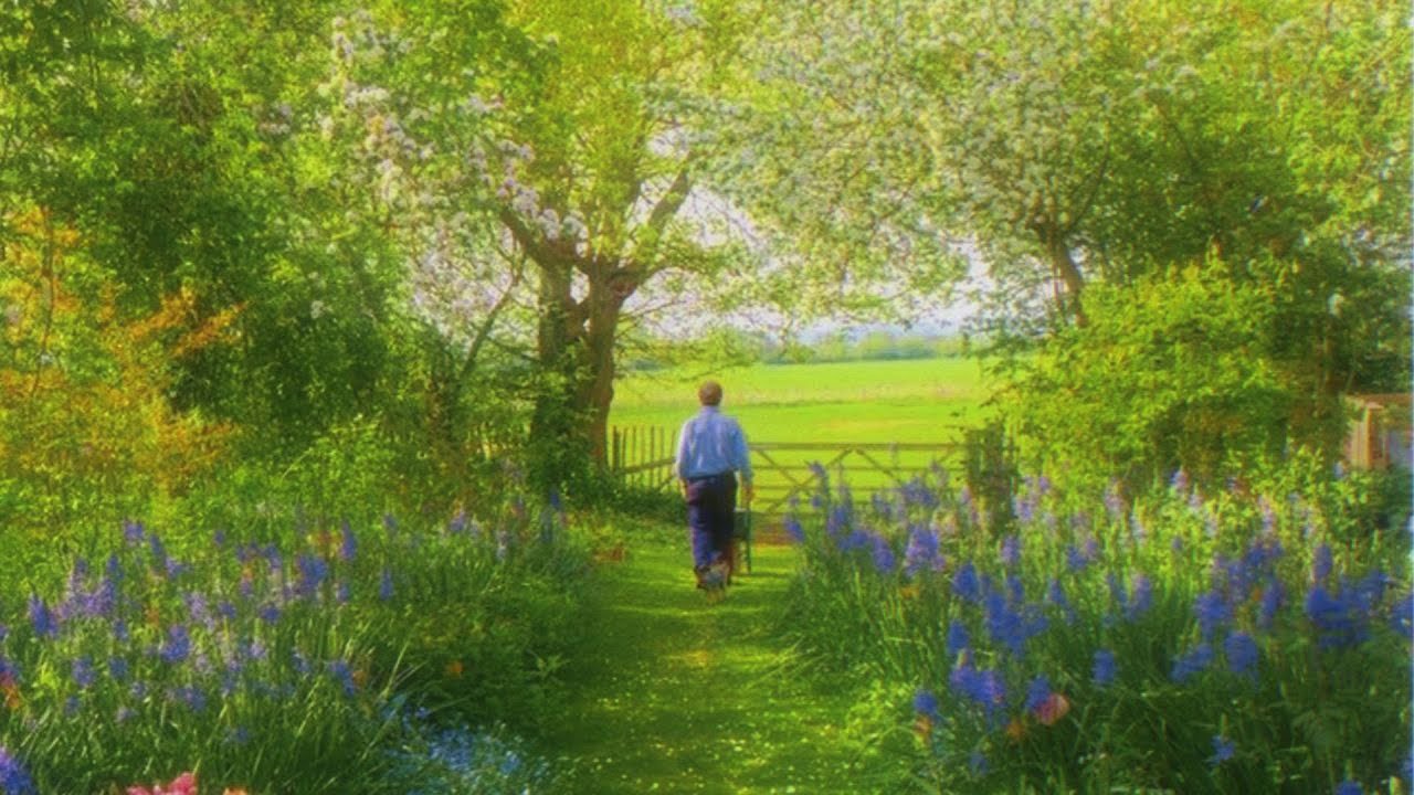 a quiet playlist for a quiet morning, full of comfort 🌿 (studying & reading)