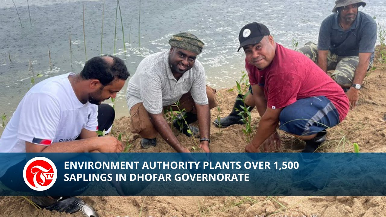 Environment Authority plants over 1,500 saplings in Dhofar Governorate