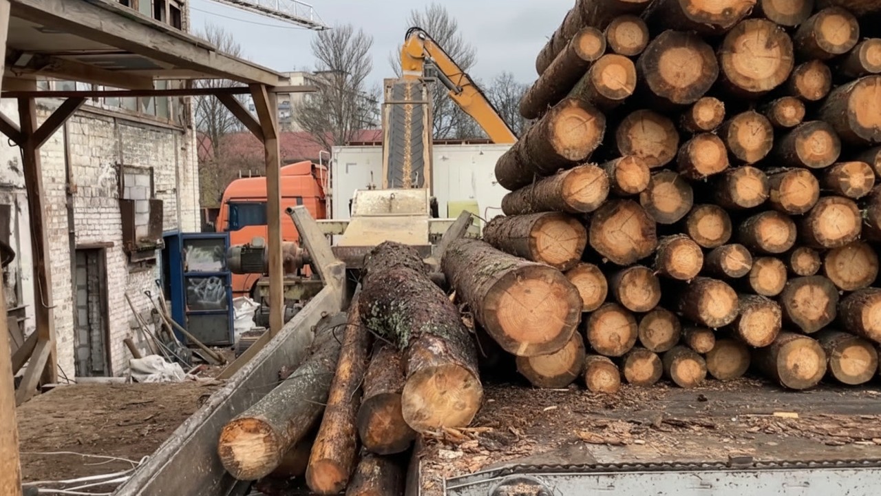 EXTREME JAM — Giant Log Stuck Before the Shredder.