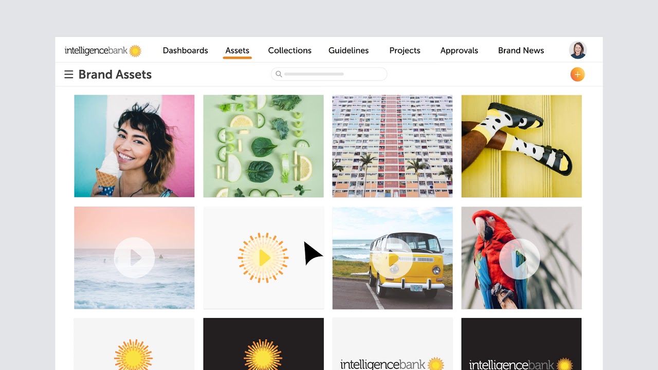 What is a Brand Portal?