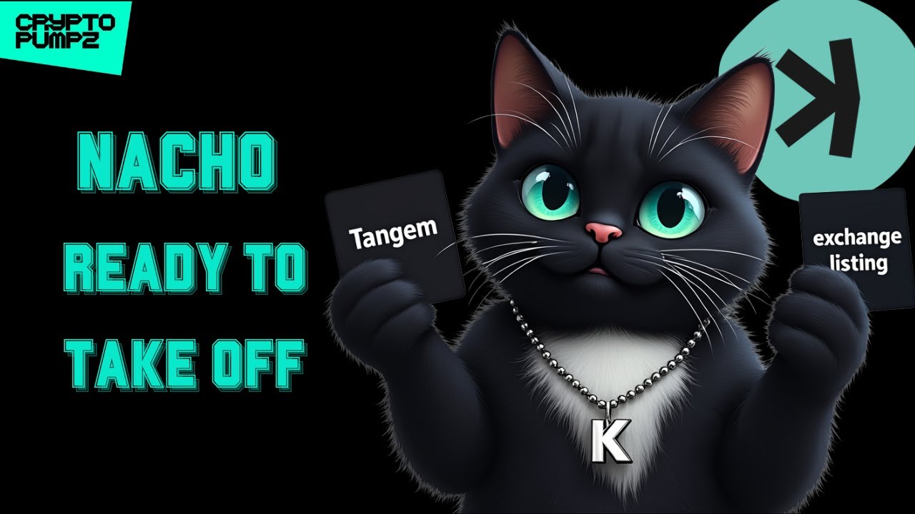 🚀🐾NACHO THE KAT, KASPA MEME FLAGSHIP KRC-20 TOKEN ABOUT TO TAKE OFF🚀🐾