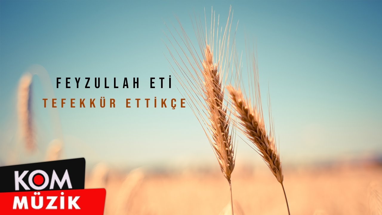 Feyzullah Eti - Tefekür Ettikçe (Official Audio)