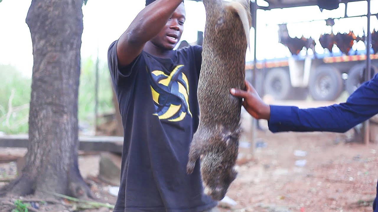 Woow!!! Welcome To The Biggest Bush Meat Market In Ghanaian/African. This can save your life