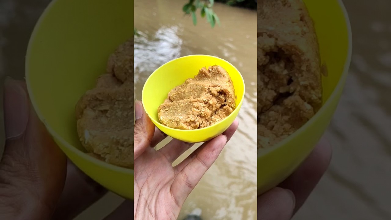 Mancing ikan lele pake umpan pelet #mancing