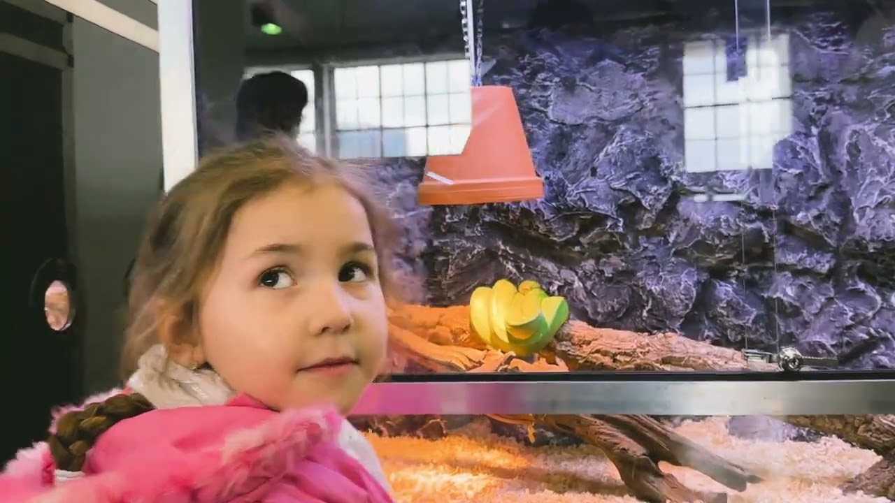 Pierwsze urodziny największych  targ&oacute;w terrarystycznych w Polsce Exotic Fest Poznań