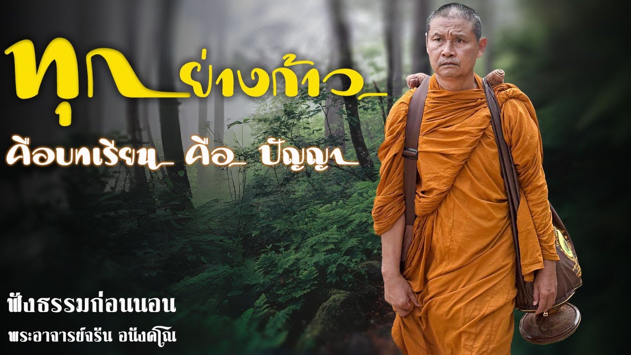 ทุกย่างก้าวคือบทเรียนคือปัญญา | ฟังธรรมก่อนนอน