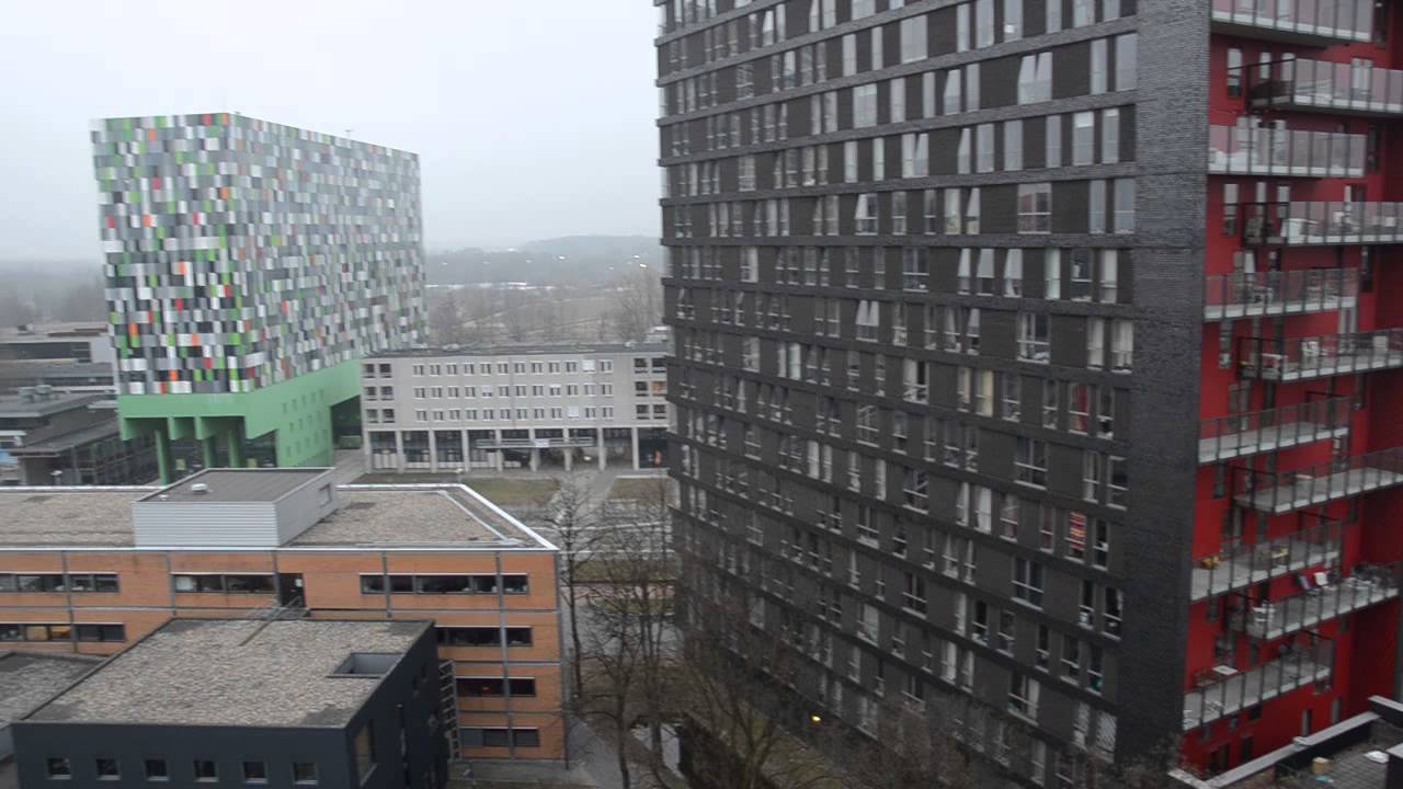 View from Cambridgelaan 194, Utrecht, The Netherlands.