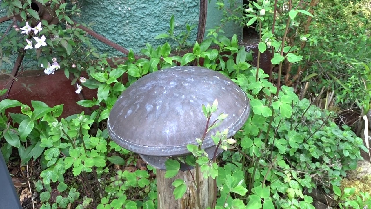 Fairy Water