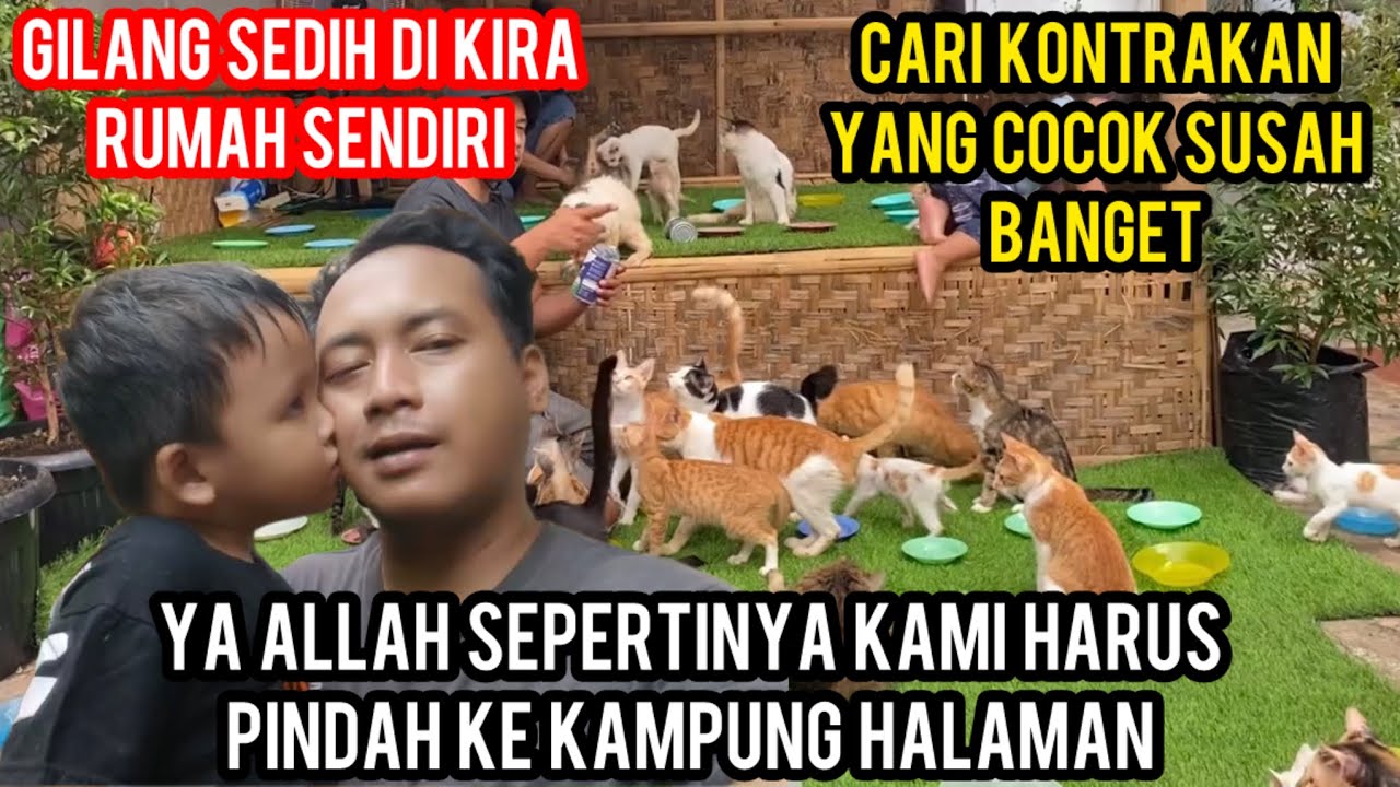 Rencana Cats Lovers Tv Mau Pindah Ke Kampung Halaman..‼️