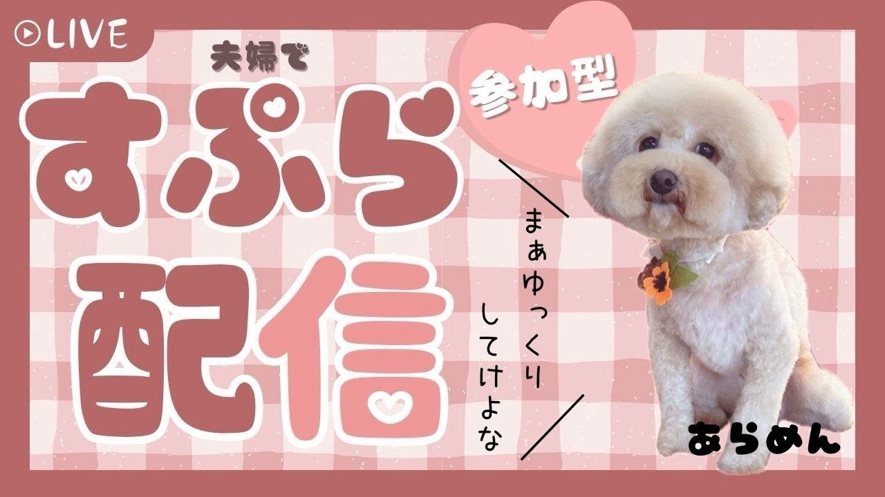 【初参加・コメ大歓迎】よめのみXマッチ→参加型 【スプラトゥーン3】