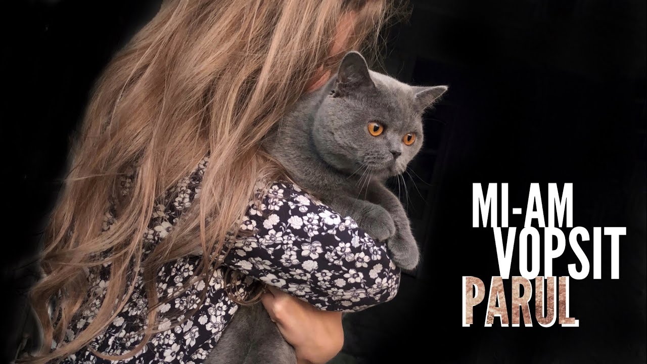 Mi-am schimbat culoarea parului + un mic haul | Alina Ghitescu