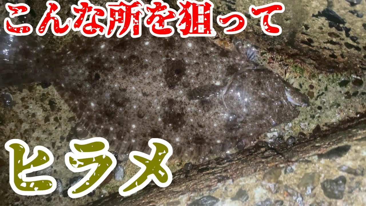 ヒラメ釣り！ベイトが出入りする好ポイント狙ってみた＠釣りに行こうか