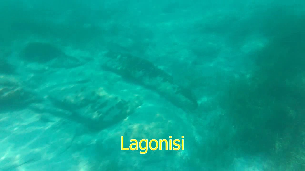 Podvodni svet Sitonije - Fava, Karidi, Lagonisi