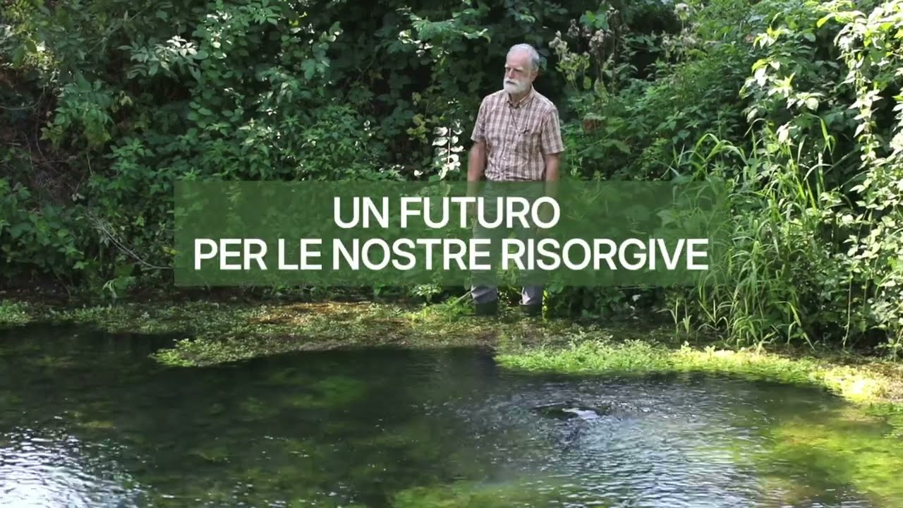 Un futuro per le nostre risorgive