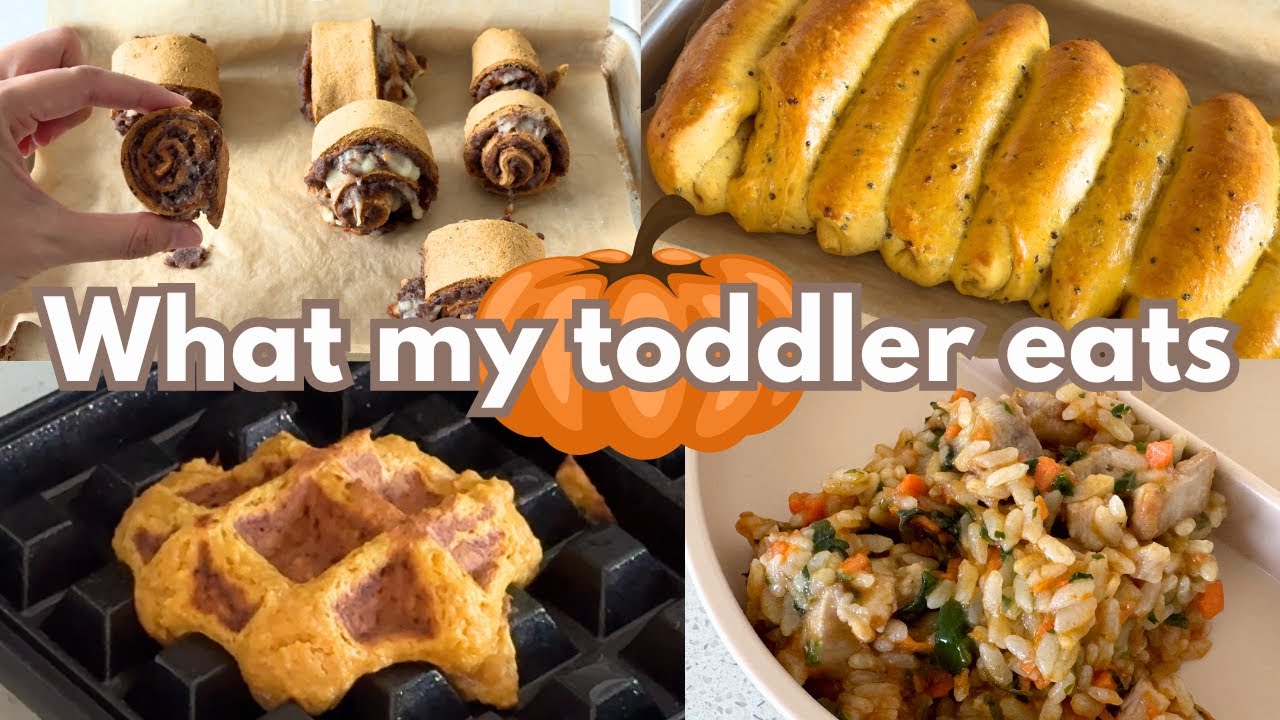 Four toddler meals from one can of pumpkin puree