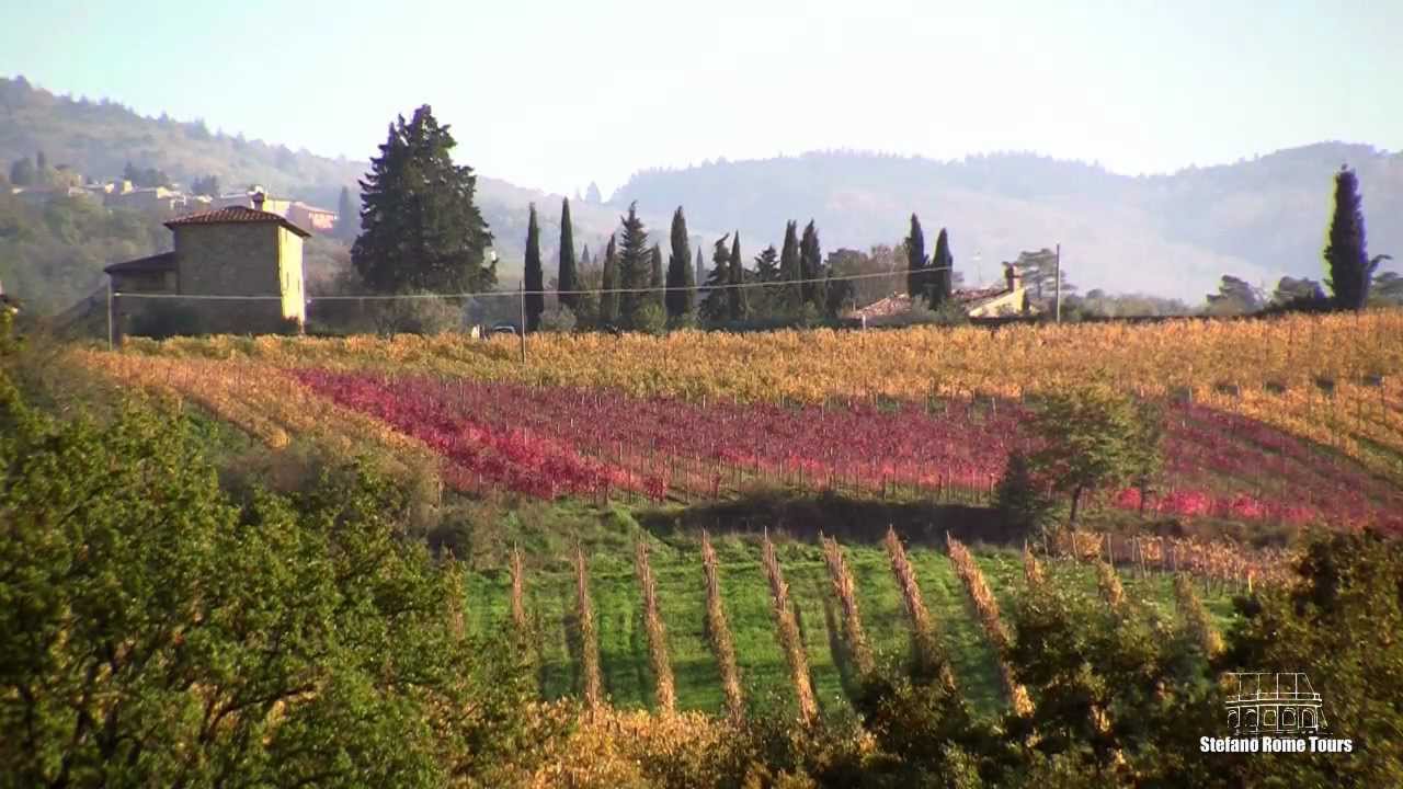 Enchanting Chianti Wine Tour ~ with Stefano Rome Tours