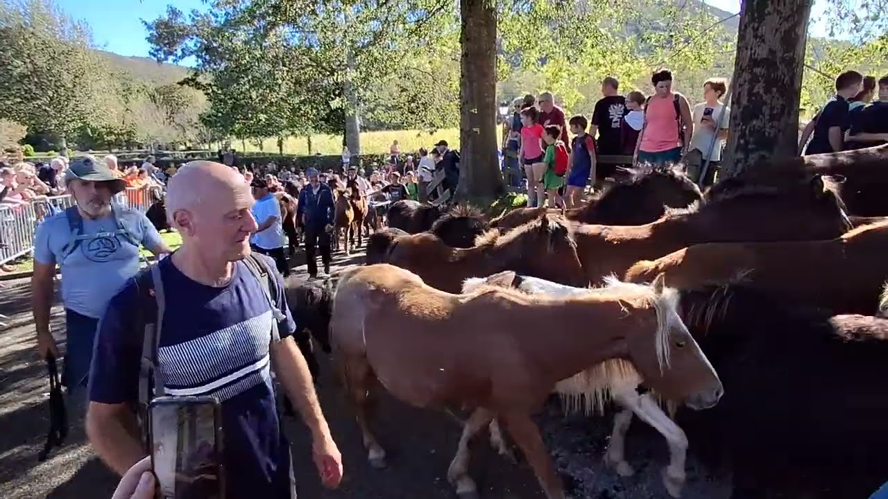 Pays Basque , Fête de Pastore Lore à Ascain , octobre 2024
