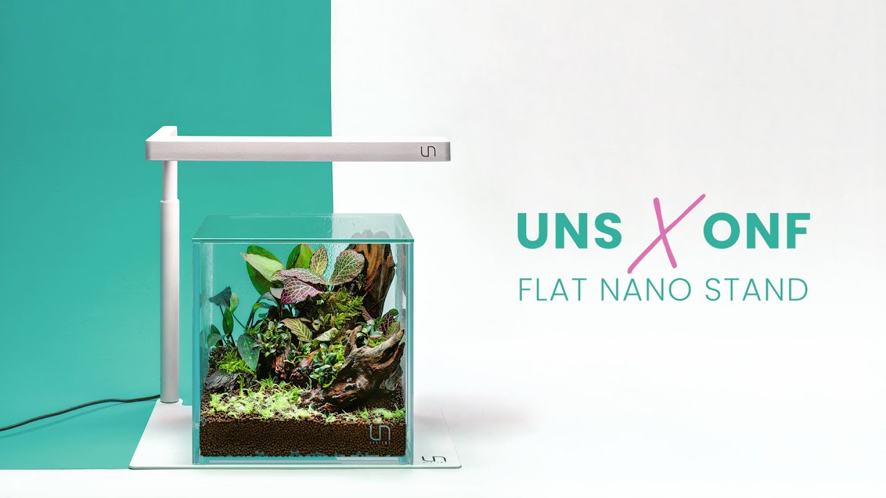 1 Gallon Terrarium Setup - UNS 16C