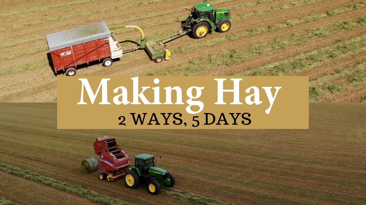 FIVE Days and TWO Ways of Making Hay (SECOND CUT HAY 2019)