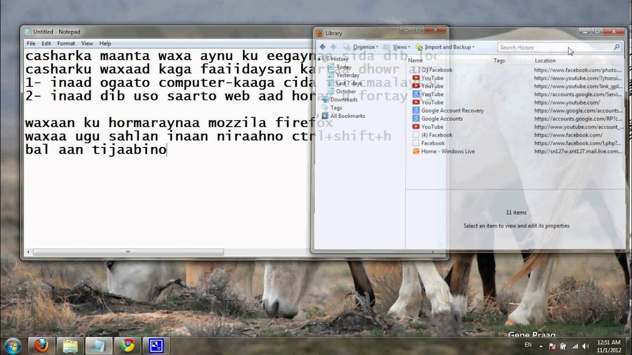 sida lo ego history ado isticmalaya mozilla firefox