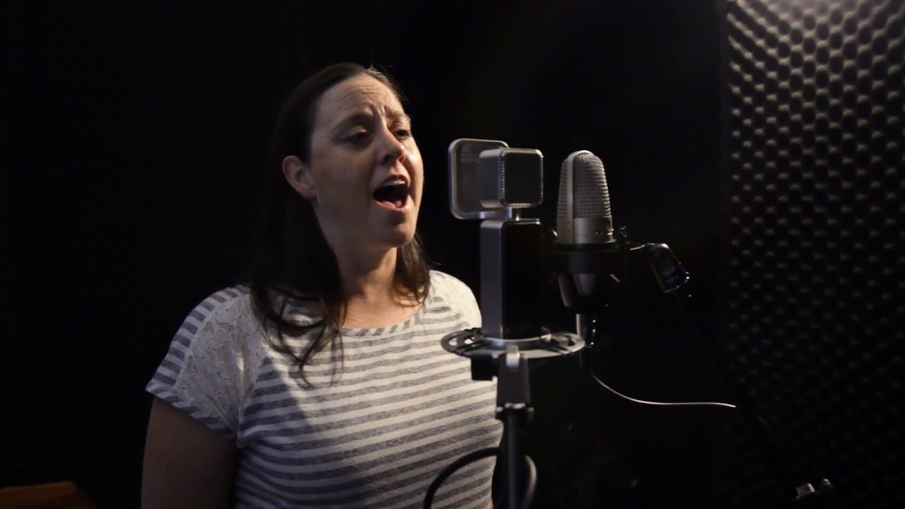 Takstar PCK700 vocal condenser microphone sound test / shootout vs. Shure KSM27
