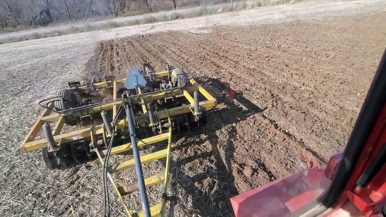 Chisel Plowing Soybean field with MTZ Belarus 825