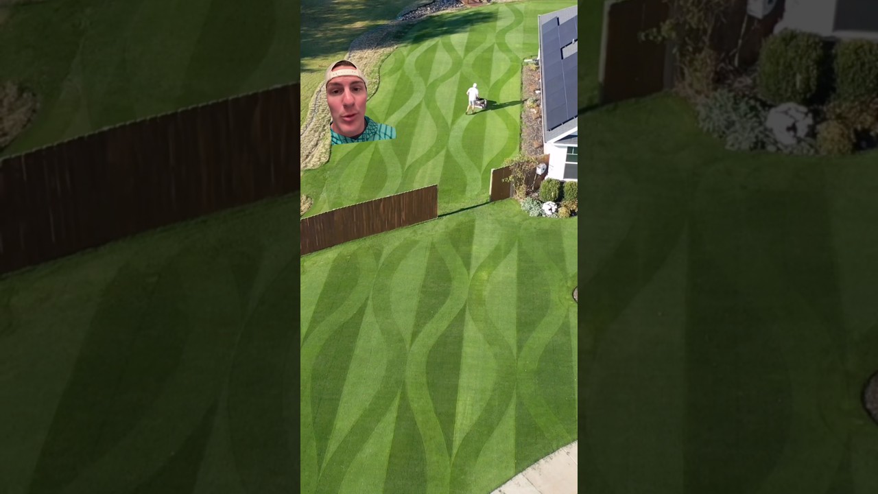 My Top 3 Lawn Tips