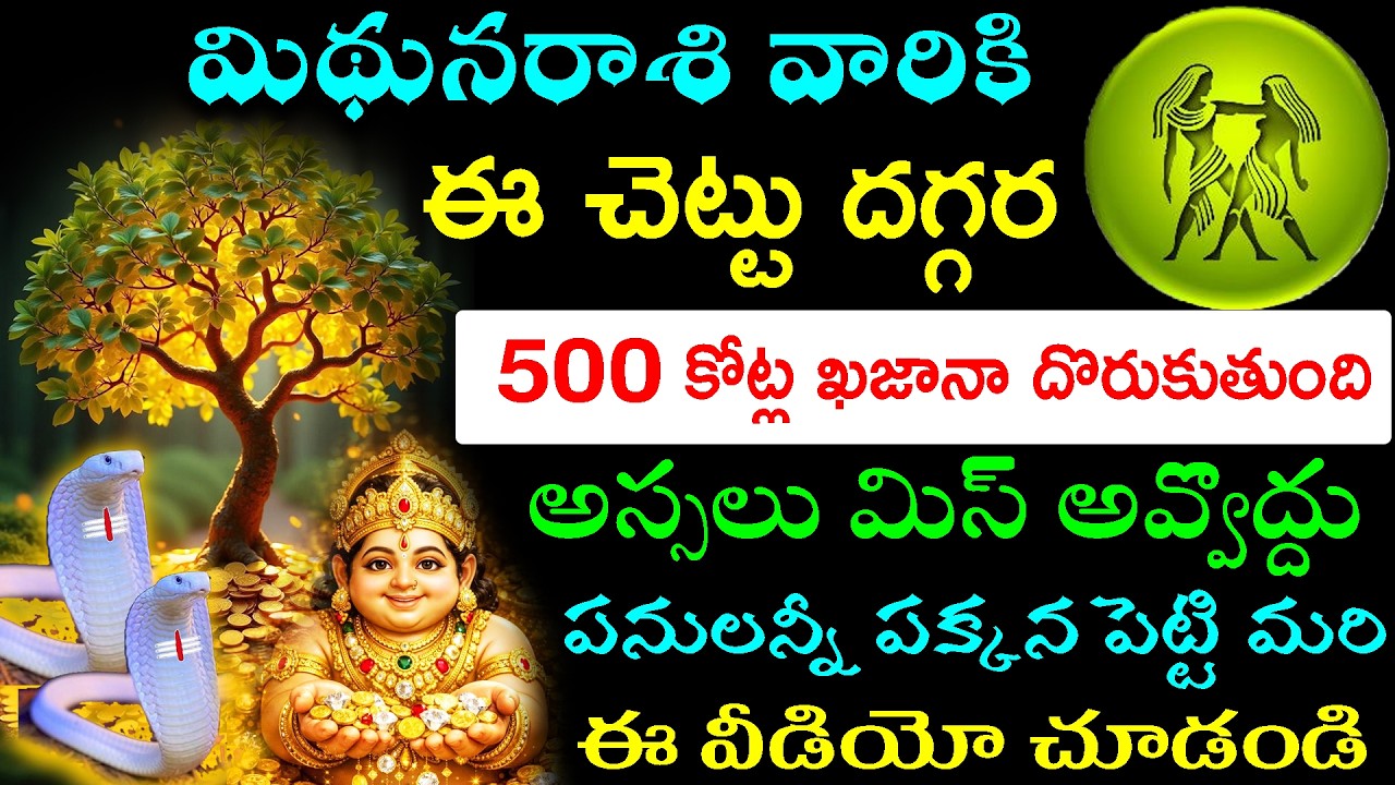 మిథునరాశి వారికి ఈ చెట్టు దగ్గర 500 కోట్ల ఖజానా దొరుకుతుంది .అస్సలు మిస్ అవ్వొద్దు పనులన్నీ పక్కన