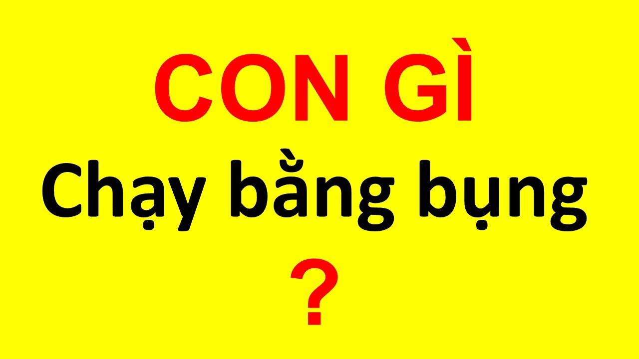 50 Câu Đố Sinh Học Vui Học Sinh Giỏi Cũng Bị Lừa! – Phần 2
