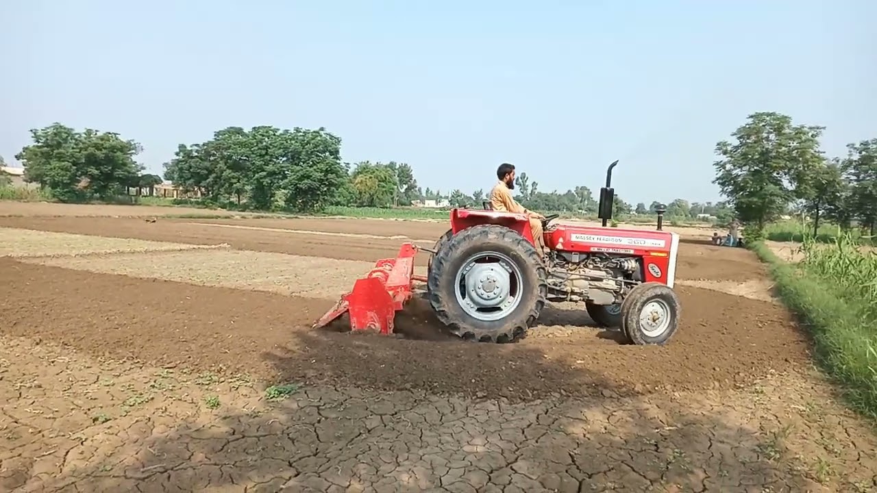 mf 260 millet. new model good performance..sabcribe plezzzzz.