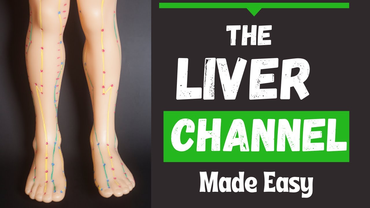 Liver Meridian