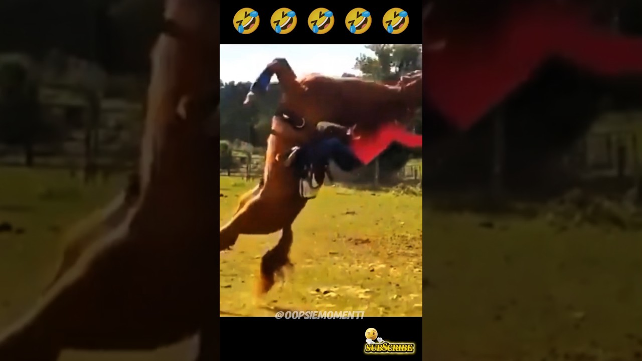 funny fails 😂🤣||