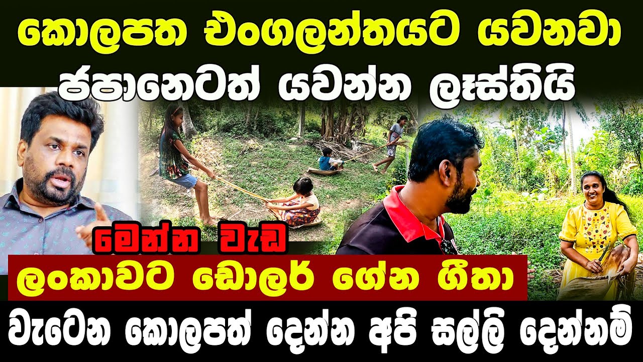 කොලපත එංගලන්තයට යවනවා | ජපානෙටත් යවන්න ලෑස්තියි මෙන්න ඩොලර් ගේන හැටි | A craft from arecanut leaf