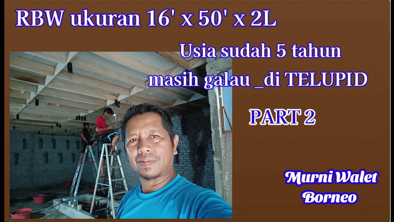 RBW ukuran 16'x50'x1L sudah usia 5 tahun masih galau_di TELUPID SABAH PART 2