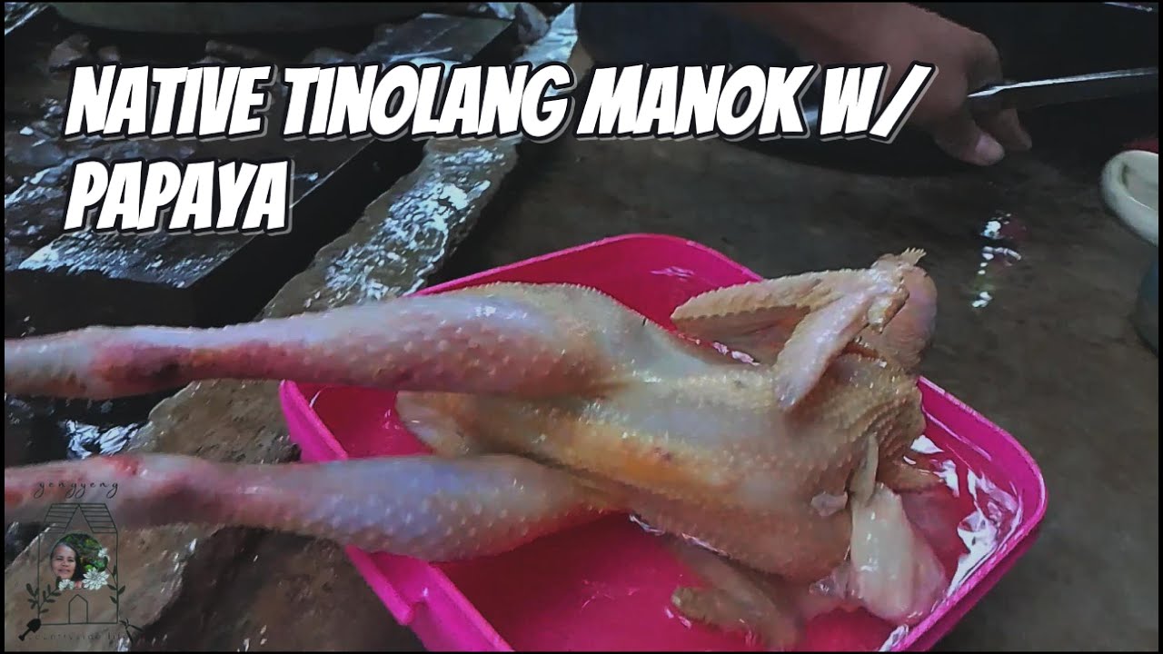 Tinolang Manok With papaya |TheclassicFilipinosoup #farminglife #bukidlife #tinolangmanok