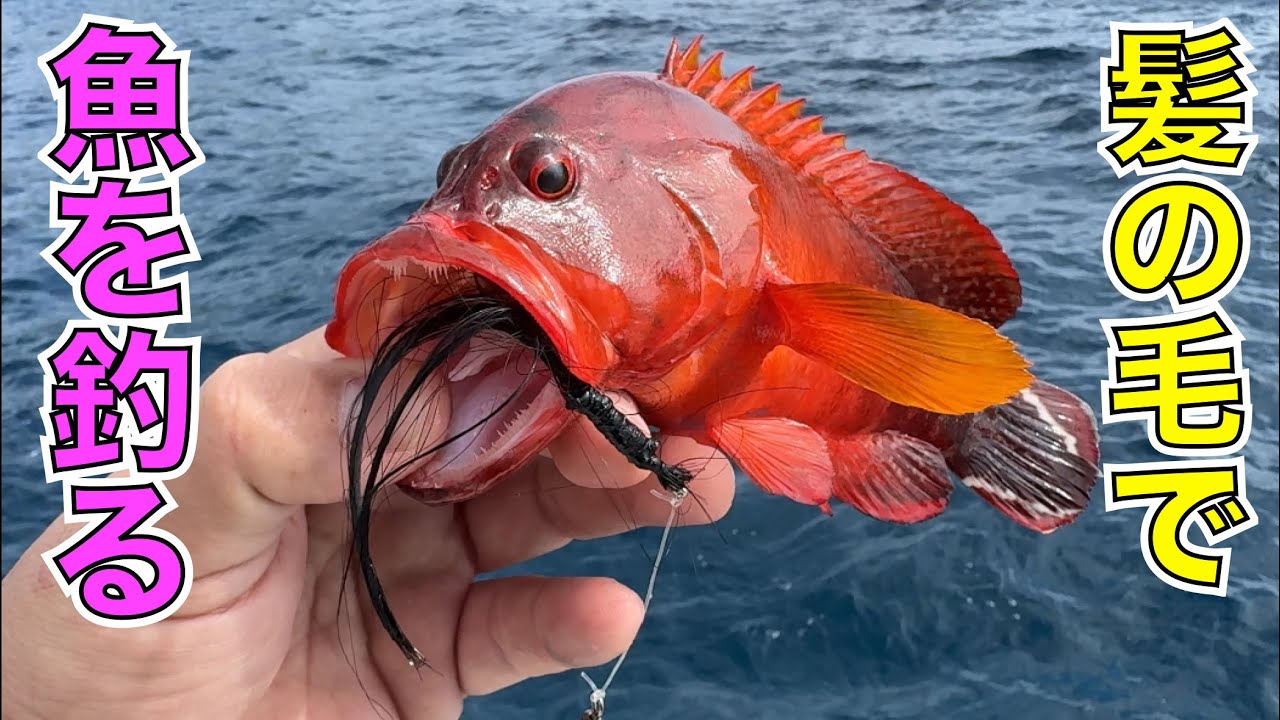 魚釣りのエサなんて髪の毛でいいんだよ