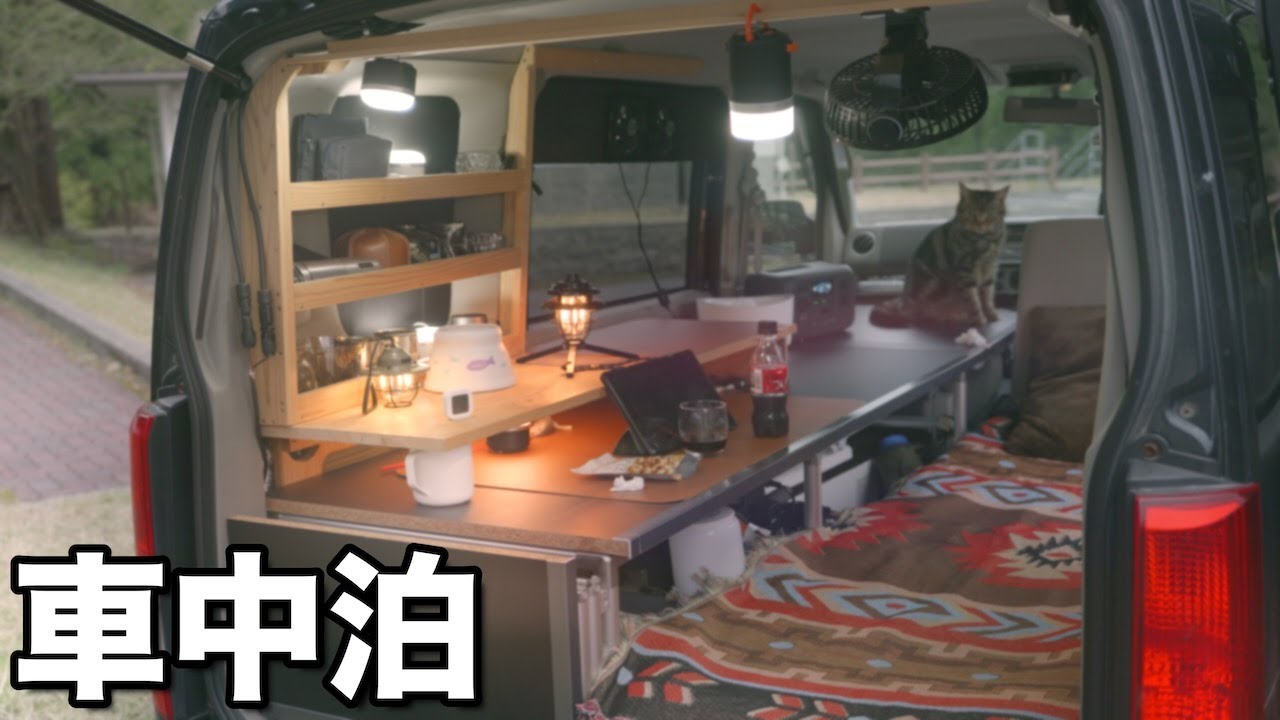 【車中泊】猫と二人で霧の中　相棒が居ると居ないでは大違い(*´ω`*)