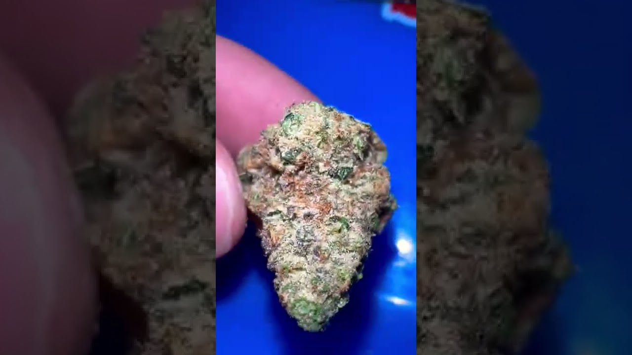 Terpee slurpee🧋🍭🍬🍡 (phat panda flower)