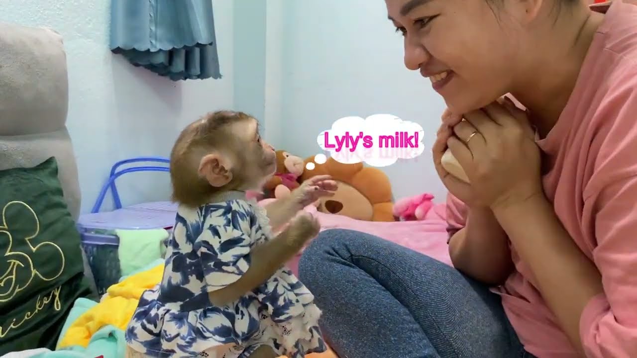 So comfortable! Thank you for the gift of Mrs. Estayan Erlinda A to baby monkey Lyly and her family!