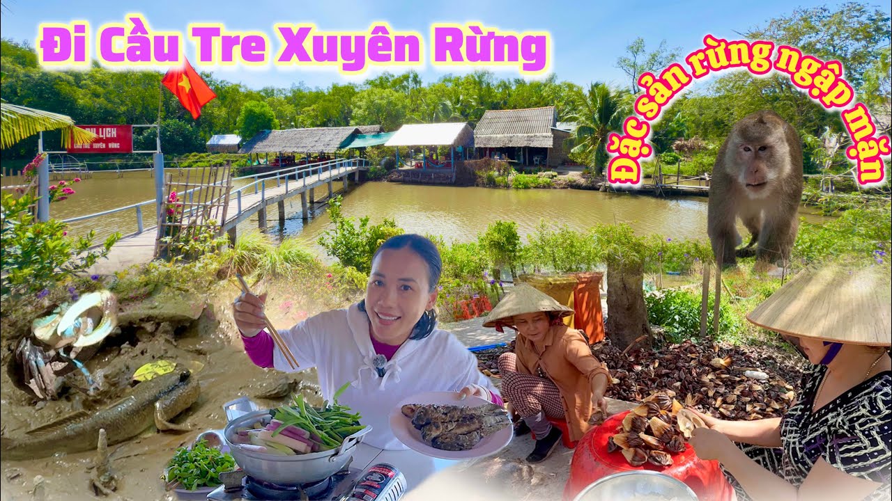 Sóc Trăng| Cù Lao Dung đi cầu tre xuyên rừng và thưởng thức đặc sản rừng ngập mặn |TrNQ