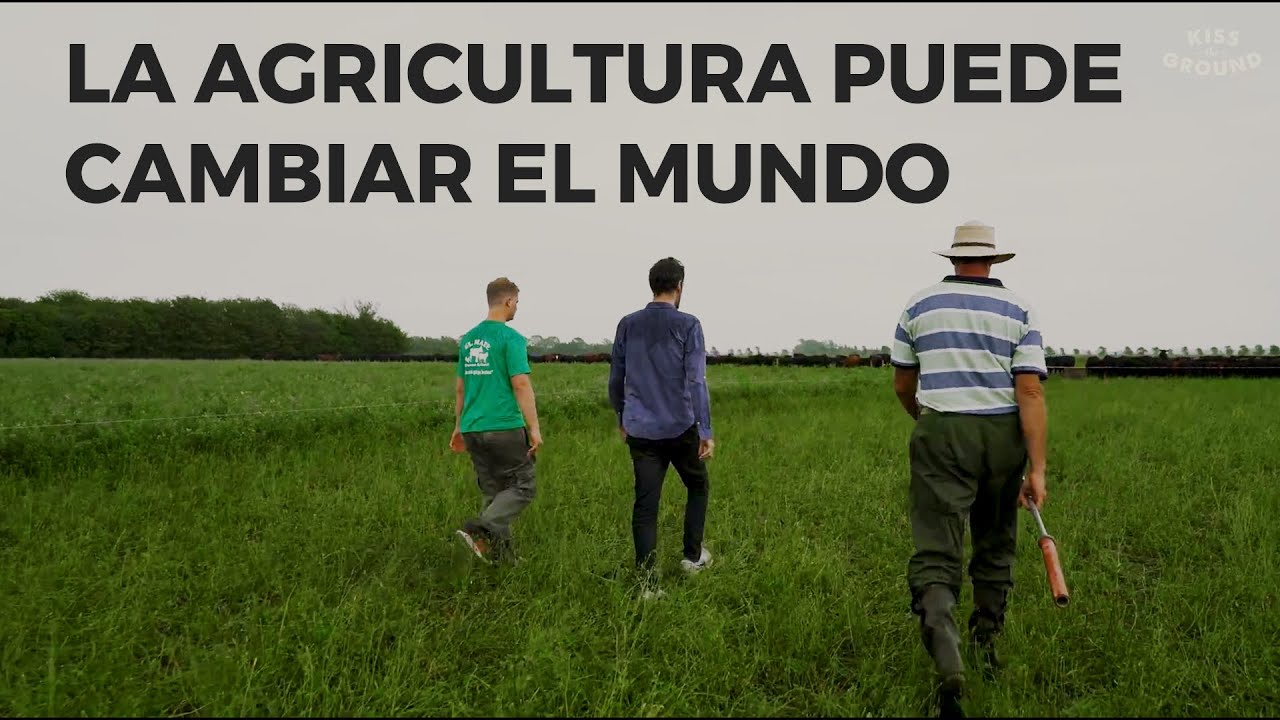Qué es El Mate? Agricultura Regenerativa - Kiss the Ground