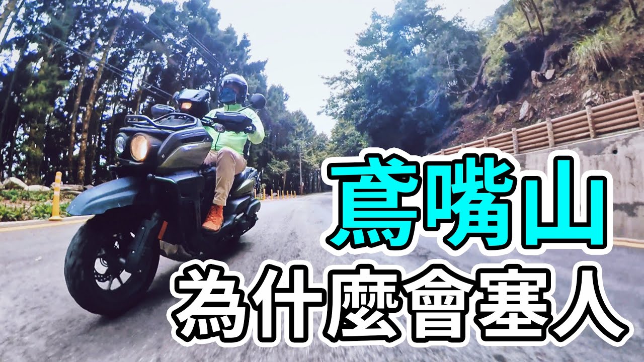 鳶嘴山 為什們會塞人。大雪山林道。賴桑。種樹。