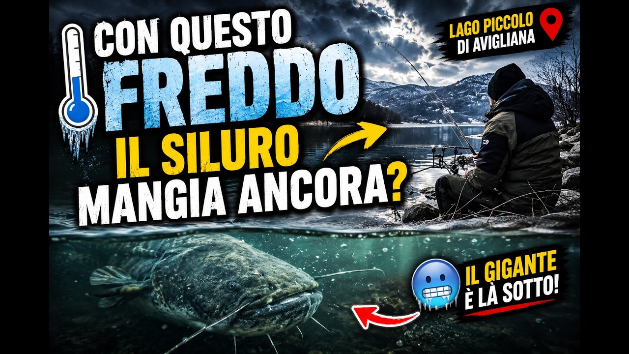 Alla ricerca del gigante del Lago Piccolo di Avigliana – Ep. 2 | Il freddo del lago