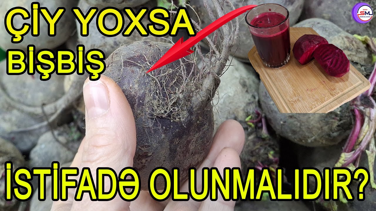 Çuğundur çiy yaxud bişmiş halda qəbul edilməli