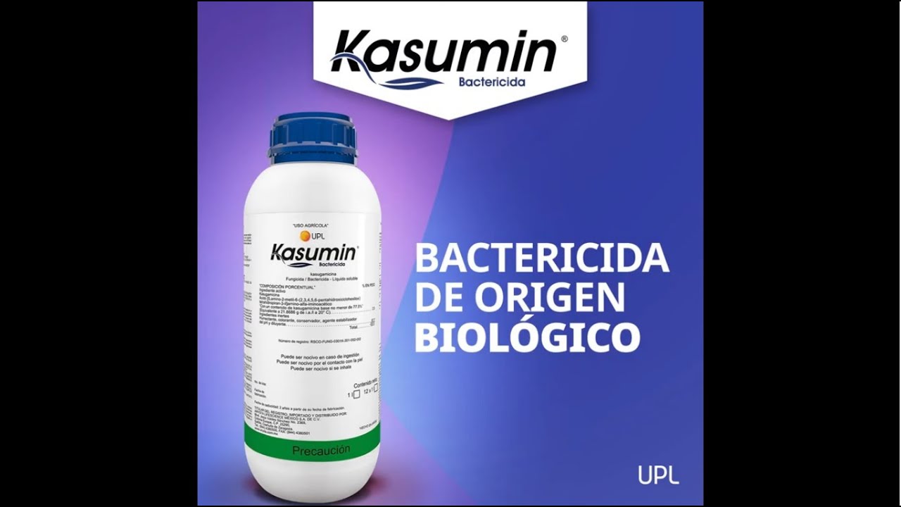 Soluciones UPL para el control de enfermedades producidas por bacterias_ Kasumin(r)